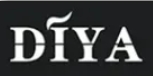 DIYA主機
